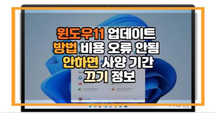 윈도우11 업데이트