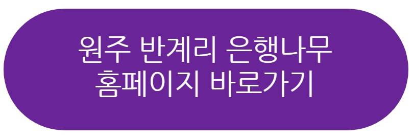 원주 반계리 은행나무