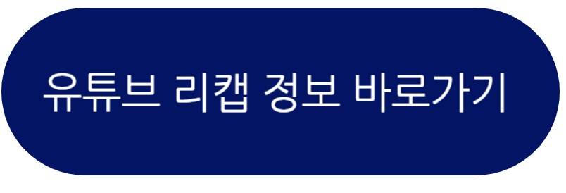 유튜브 리캡