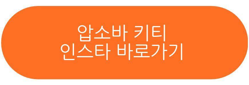 압소바 키티