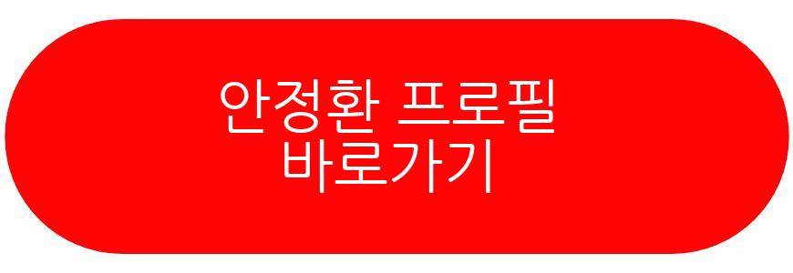 안정환
