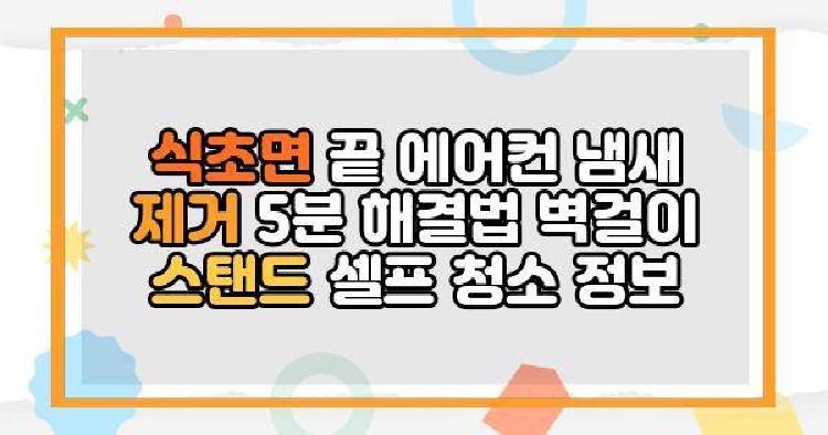 식초면 끝 에어컨 냄새 제거 5분 해결법 벽걸이 스탠드 셀프 청소 정보