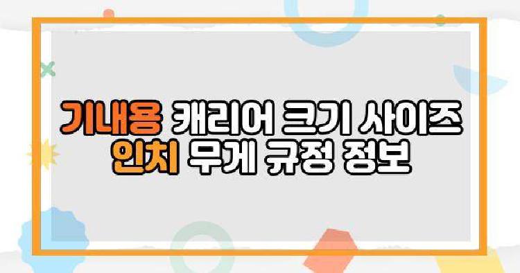기내용 캐리어