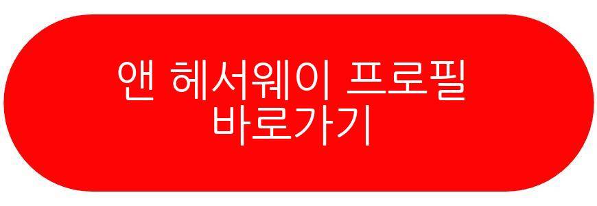 앤 헤서웨이