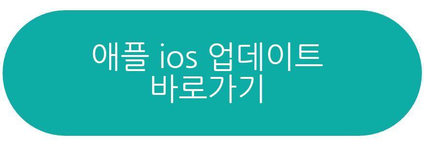 애플 ios