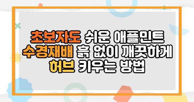 초보자도 쉬운 애플민트 수경재배 흙 없이 깨끗하게 허브 키우는 방법