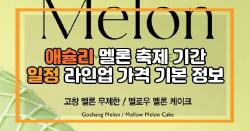 애슐리 멜론 축제 기간 일정 라인업 가격 기본 정보