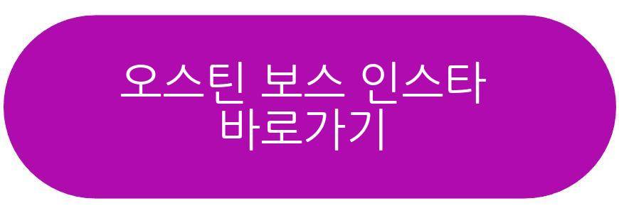 오스틴 보스