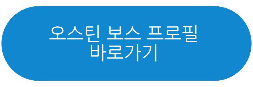 오스틴 보스