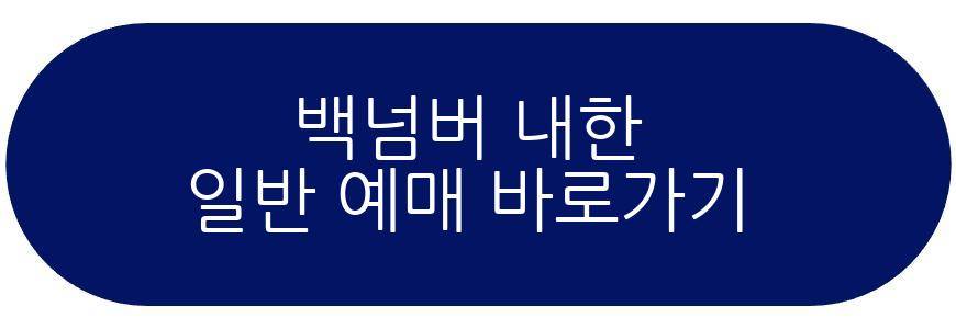 백넘버 내한