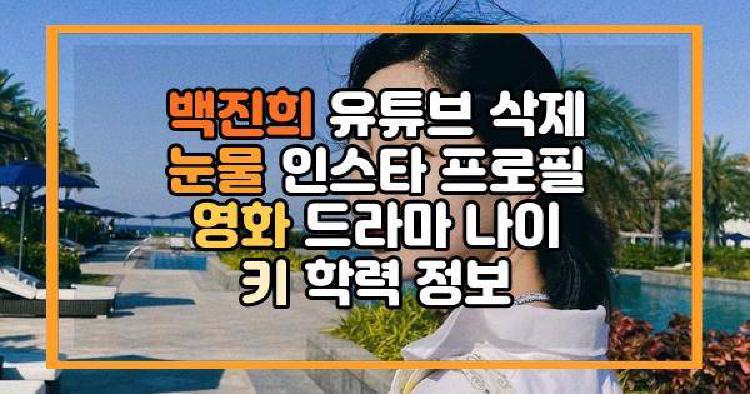 백진희 유튜브 삭제