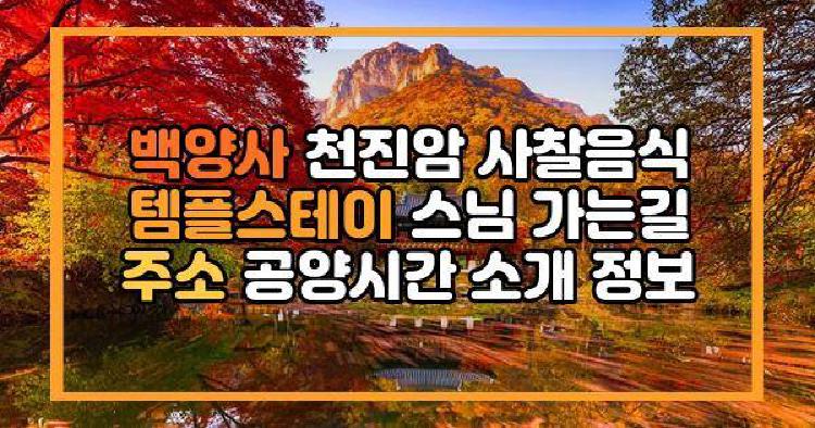 백양사 천진암