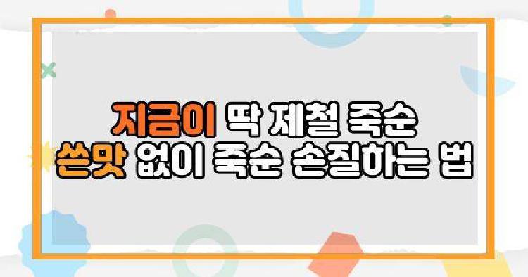 지금이 딱 제철 죽순 쓴맛 없이 죽순 손질하는 법