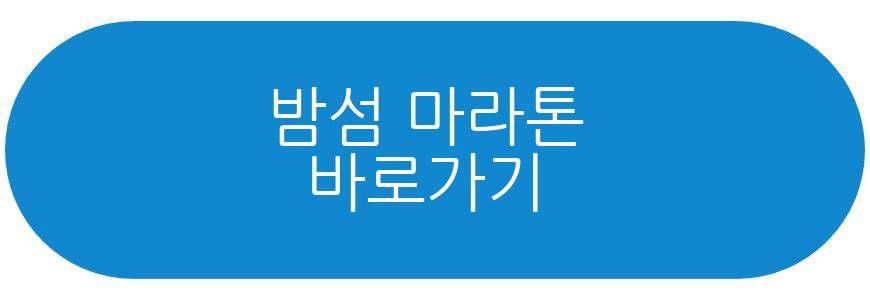 밤섬 마라톤