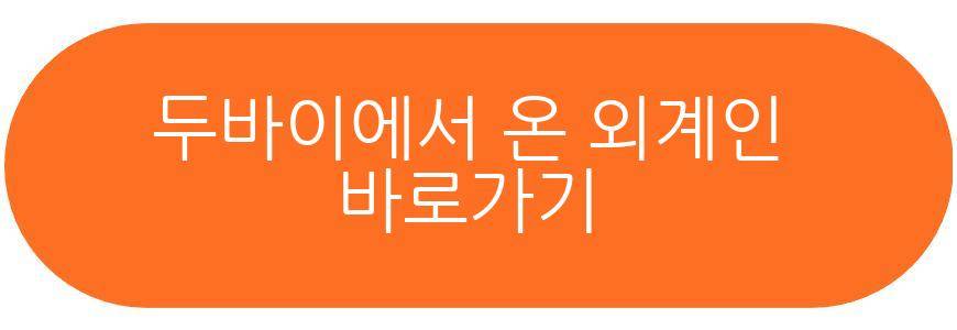 두바이에서 온 외계인