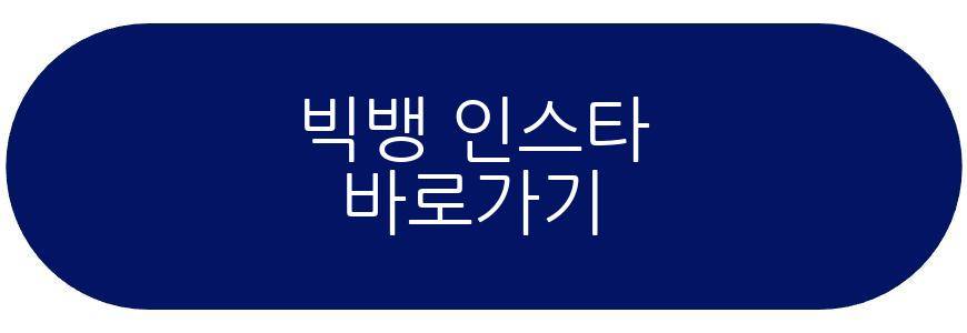 빅뱅 20주년 월드투어