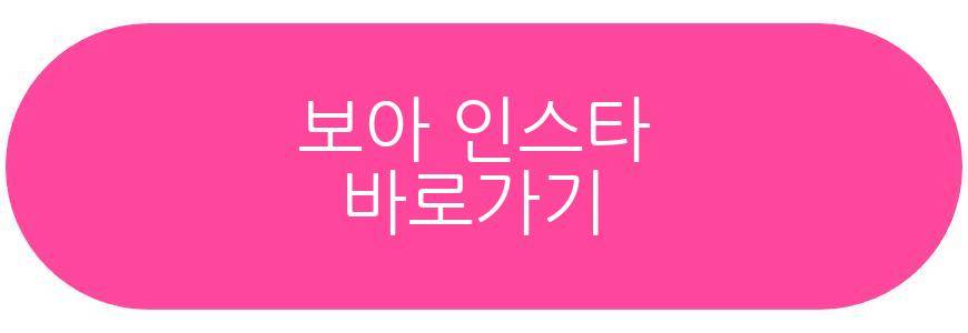 보아 후지산