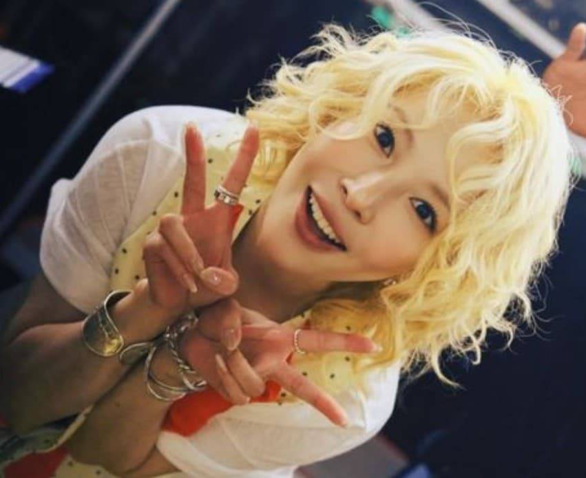 보아 후지산