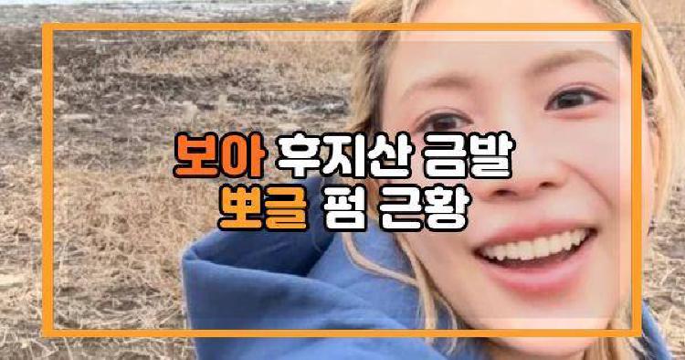 보아 후지산
