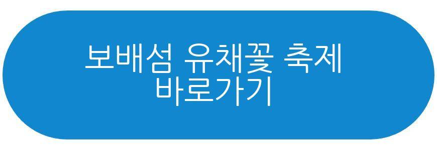보배섬 유채꽃 축제