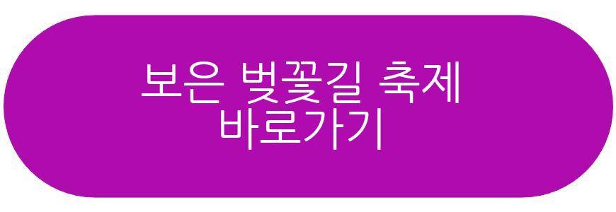 보은 벚꽃길 축제