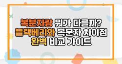 복분자랑 뭐가 다를까? 블랙베리와 복분자 차이점 완벽 비교 가이드