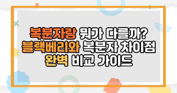 복분자랑 뭐가 다를까? 블랙베리와 복분자 차이점 완벽 비교 가이드