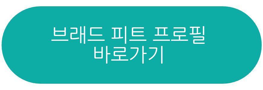 브래드 피트 한국 방문