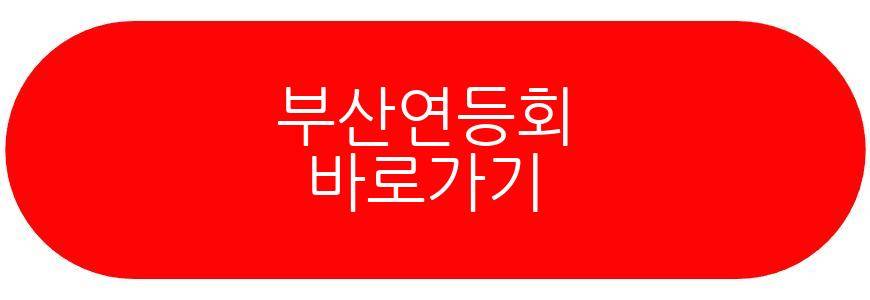 부산연등회