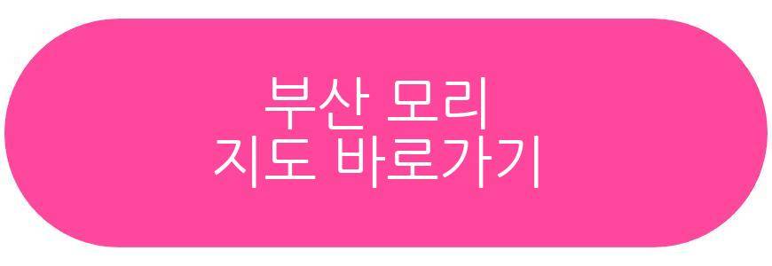 부산 모리