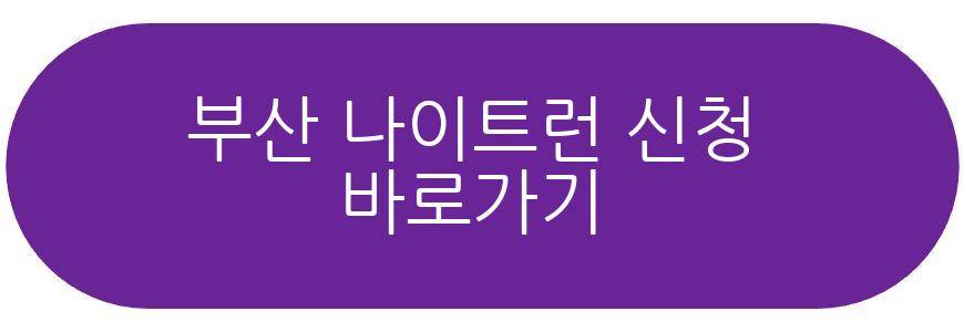 부산 나이트런