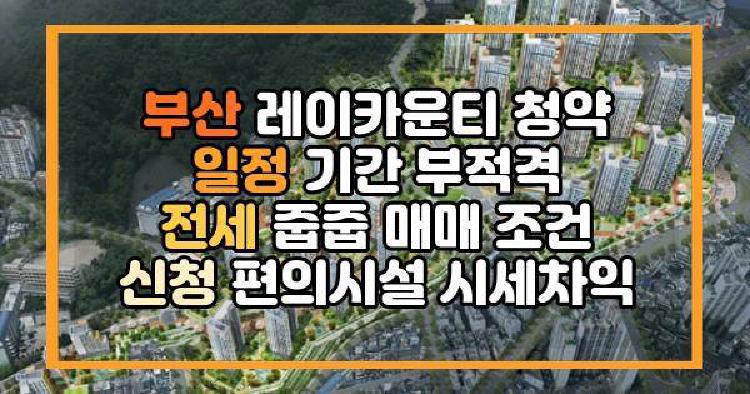 부산 레이카운티 청약 일정 기간 부적격 전세 줍줍 매매 조건 신청 편의시설 시세차익
