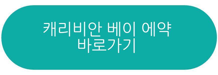 캐리비안 베이 입장권