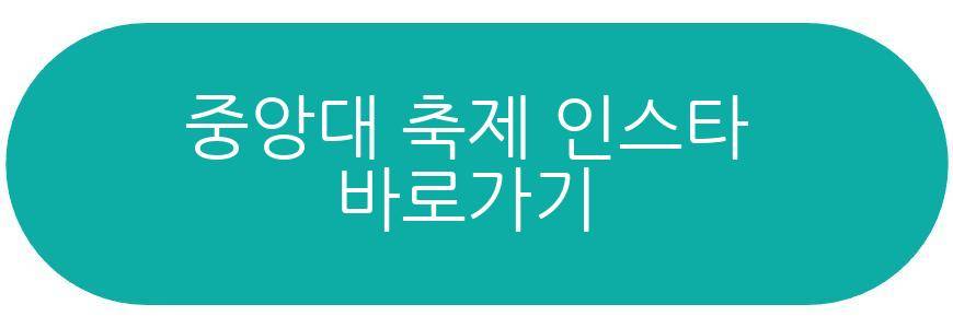 중앙대 축제 2026