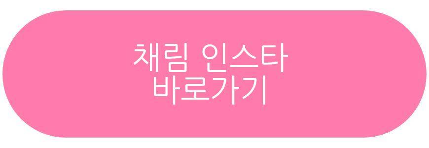 채림 프로필