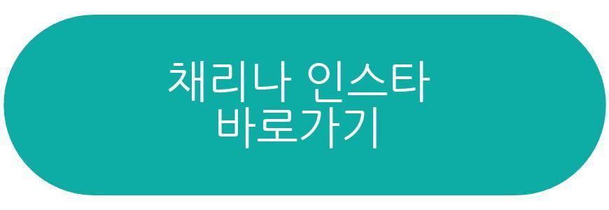 채리나 박용근