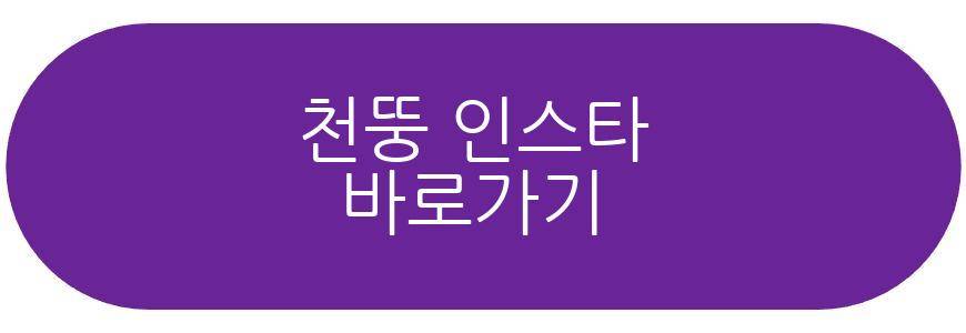 천뚱