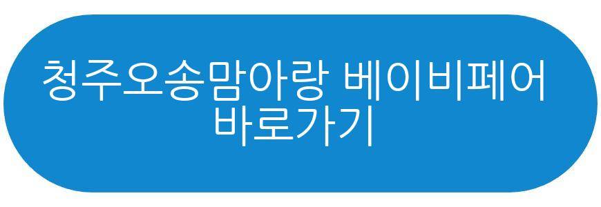 청주오송맘아랑 베이비페어