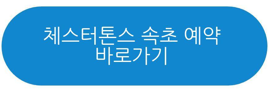 체스터톤스 속초