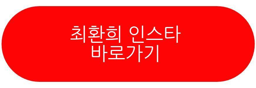 최환희 최준희 결혼