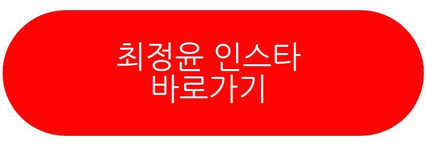 최정윤 재혼