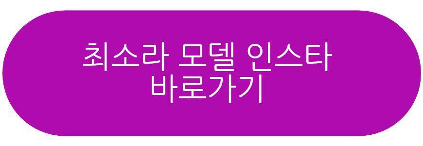 최소라 모델