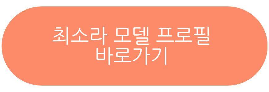 최소라 모델