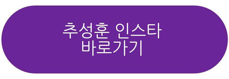 추성훈 한화 시구