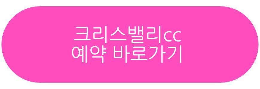 크리스밸리cc