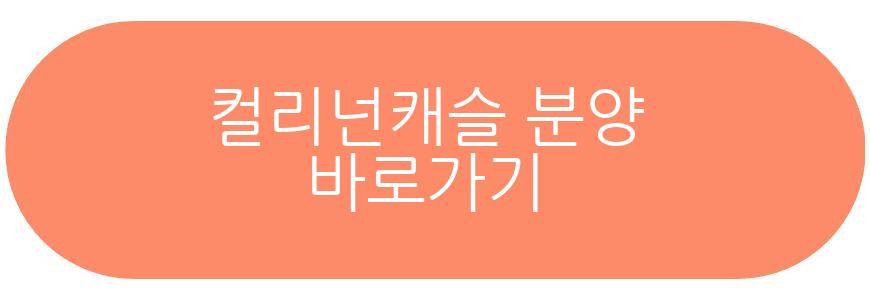 컬리넌캐슬