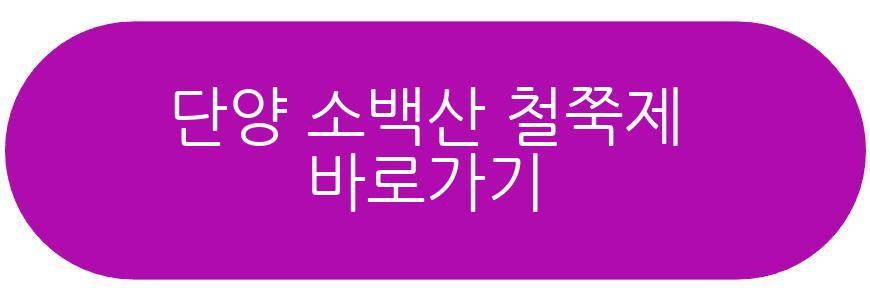 단양 소백산 철쭉제