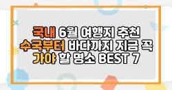 국내 6월 여행지 추천 수국부터 바다까지 지금 꼭 가야 할 명소 BEST 7