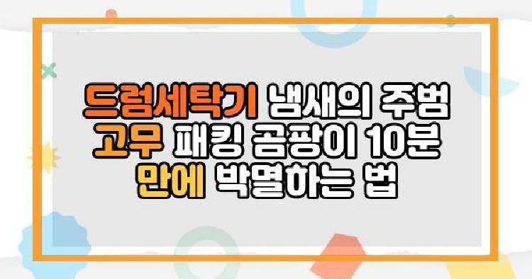 드럼세탁기 냄새의 주범 고무 패킹 곰팡이 10분 만에 박멸하는 법