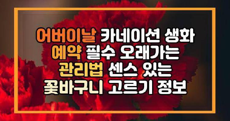 카네이션생화